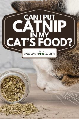 Can I Put Catnip in My Cat's Food? Exploring the Whisker-Twitching World of Feline Flavors